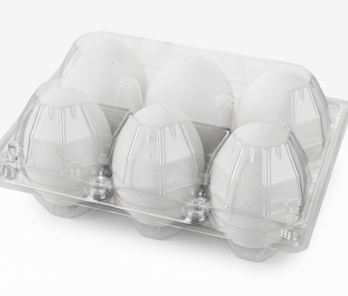White Eggs 6 Pack Large